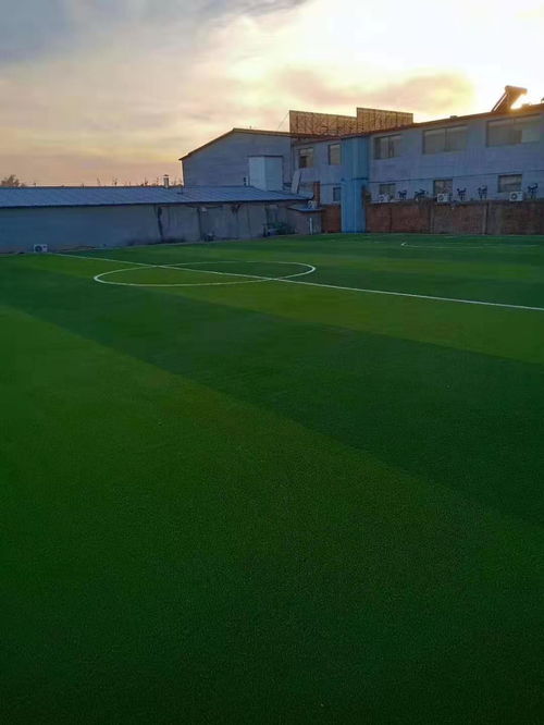 寧德體育場(chǎng)地施工價(jià)格