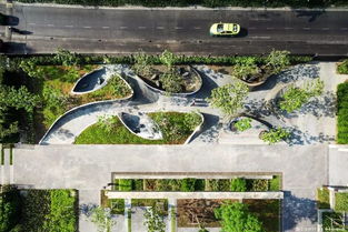 建筑長(zhǎng)得丑,全靠樹(shù)來(lái)湊