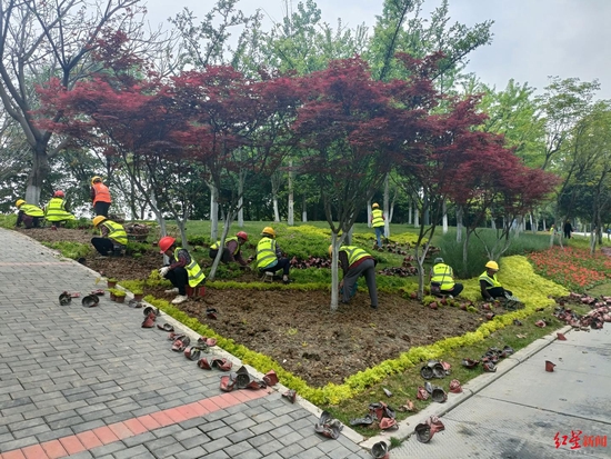 天府黃、錦官橙、太陽神鳥 成都三環路換上了新裝你注意到了嗎