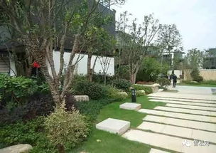 園林綠化工程施工技術規(guī)范大全 萬字長文