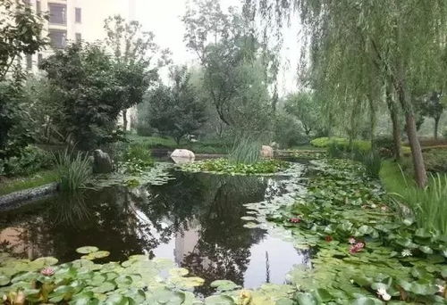 這些園林綠化工程施工技術(shù)規(guī)范,值得你花時間學(xué)習(xí)一下