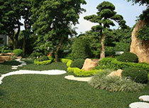 麻煩在座的老司機(jī) 誰(shuí)幫忙回答!昌平快捷的小區(qū)綠化工程選哪家?