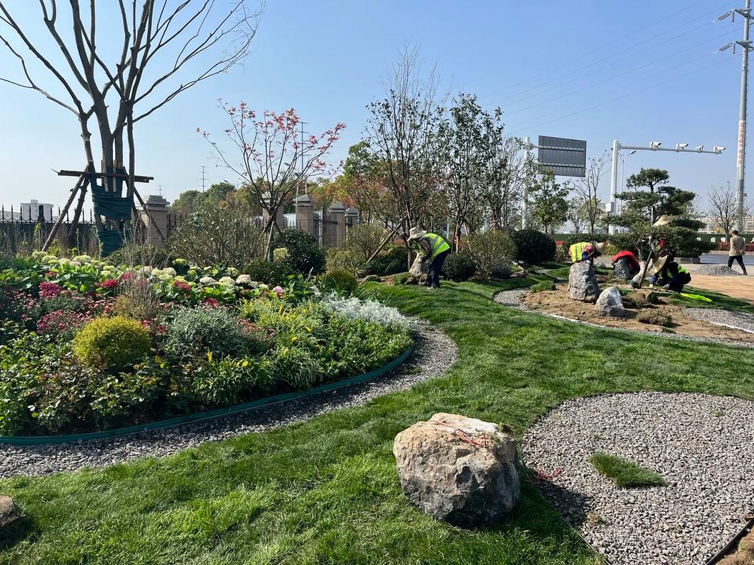 園林綠化工程 #施工現(xiàn)場實(shí)拍