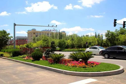 鄂托克旗園林綠化局 全力打造城鎮 花海