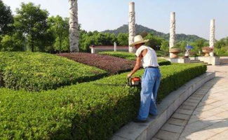 園林綠化施工的五大注意事項,知識要點