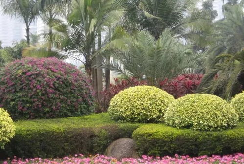 園林植物種植施工工序與園林綠化工程實施要點